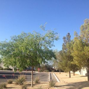 Meet your Posher, Betty